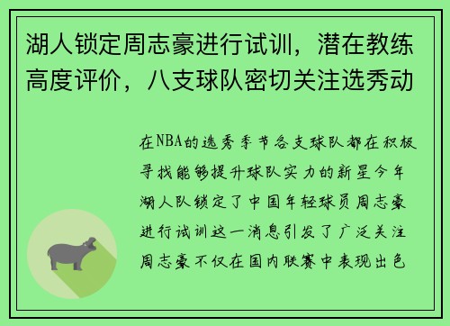 湖人锁定周志豪进行试训，潜在教练高度评价，八支球队密切关注选秀动态