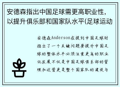 安德森指出中国足球需更高职业性，以提升俱乐部和国家队水平(足球运动员安德森)
