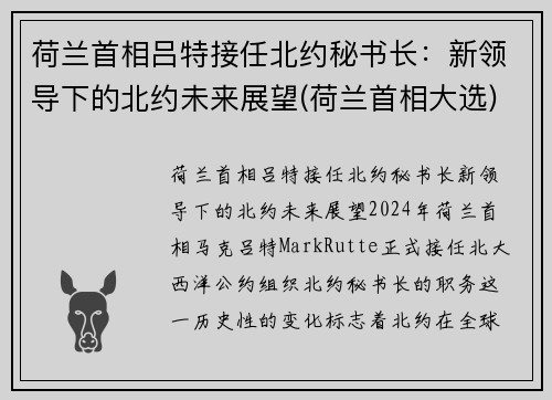 荷兰首相吕特接任北约秘书长：新领导下的北约未来展望(荷兰首相大选)