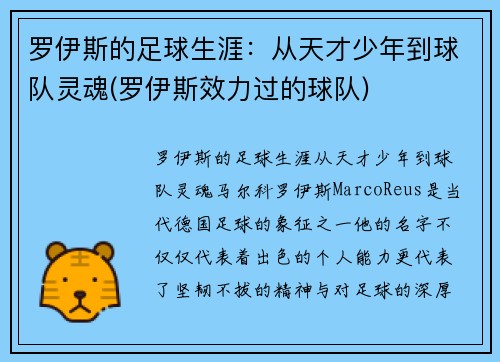 罗伊斯的足球生涯：从天才少年到球队灵魂(罗伊斯效力过的球队)