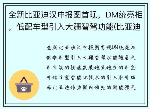 全新比亚迪汉申报图首现，DM统亮相，低配车型引入大疆智驾功能(比亚迪汉2022全新)