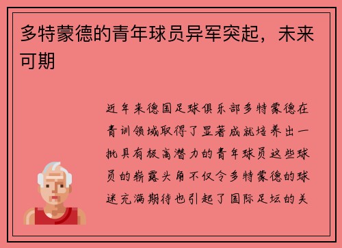 多特蒙德的青年球员异军突起，未来可期